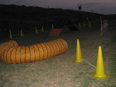 img_2169.jpg