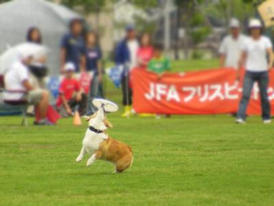 img20060627_2.jpg