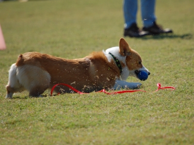 ycsc_2562.jpg