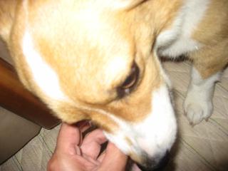 img_1721.jpg