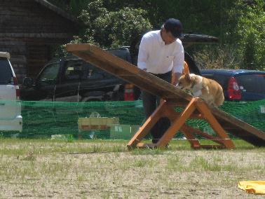 img_8149.jpg