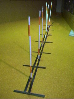 img20060930.jpg