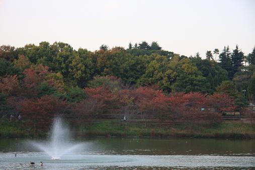178.jpg