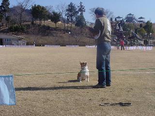 img20060129.jpg