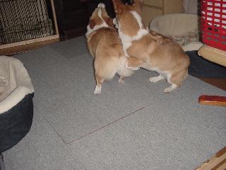 Dsc00030.jpg