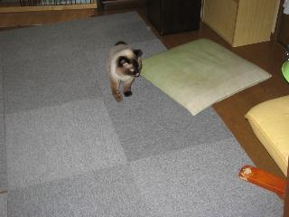 img_2537.jpg