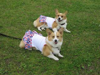 img20060528_1.jpg