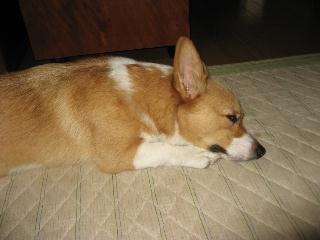 img_2522.jpg