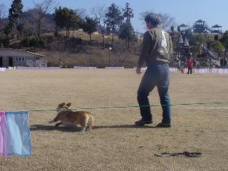 img20060129_1.jpg