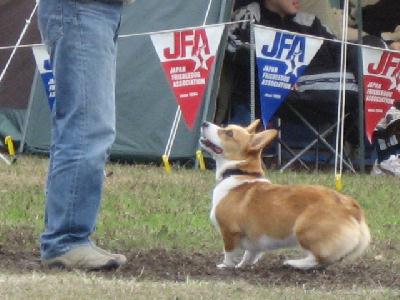 img_4699.jpg