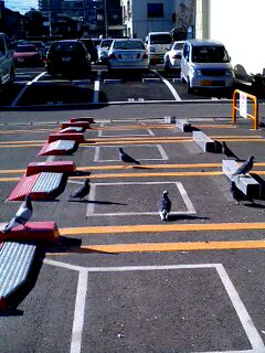 051220_1859%7E0001.jpg