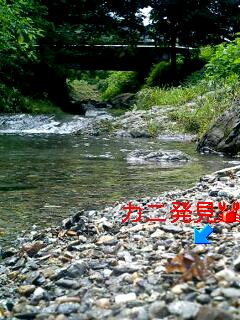 050815_1405%7E0001.jpg