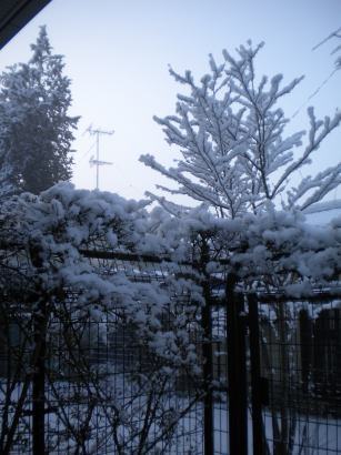 10021401.jpg