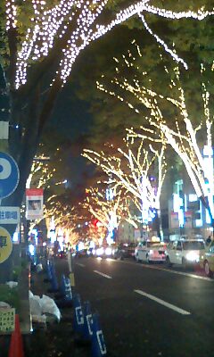 img20071127.jpg