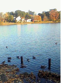 lake.jpg
