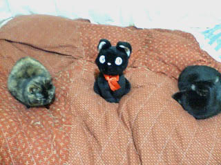 20051207234353.jpg