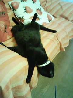 kuro_0716.jpg