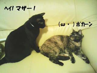 060724_021526.jpg