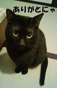 img20060515.jpg