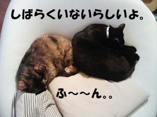 img20060430.jpg