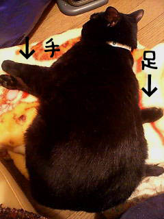 img20060202.jpg