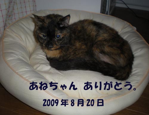 arigato.jpg
