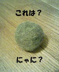 img20060410.jpg