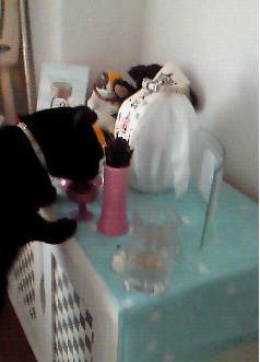 img20090903.jpg