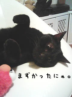 img20060318.jpg