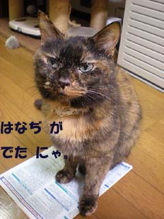dscn0401_2.jpg