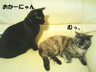 060724_021727.jpg