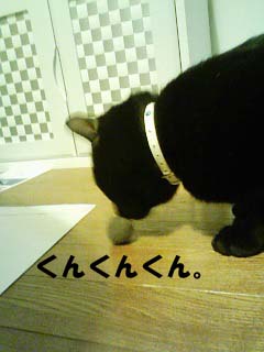 img20060410_2.jpg