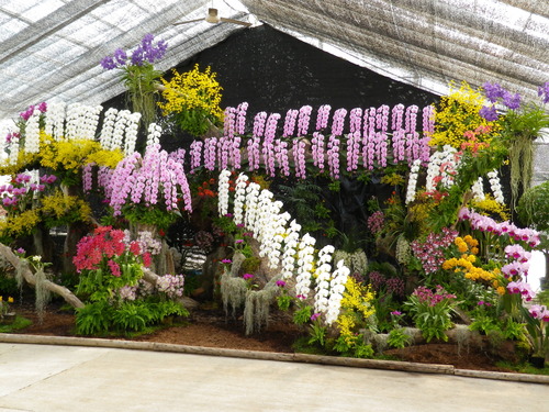 IMGP0154