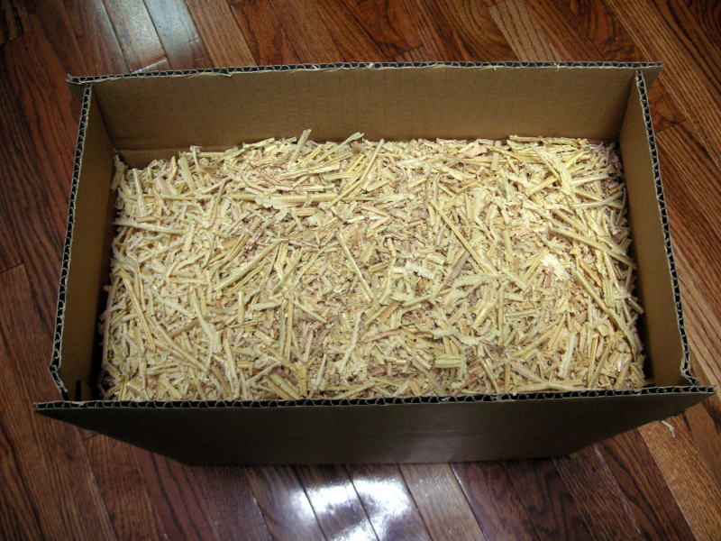 pict0010.jpg