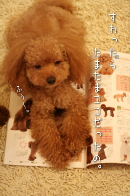 081029_5.jpg