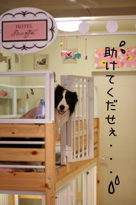 070526_6.jpg