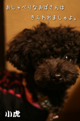 081104_8.jpg