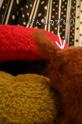 090209_01.jpg