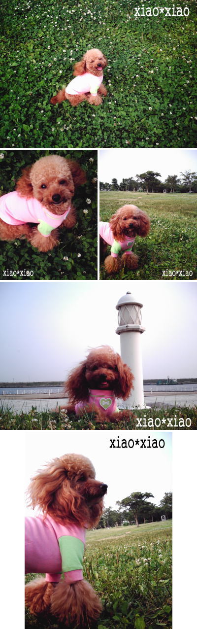 060612_2.jpg