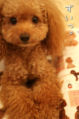 081029_3.jpg
