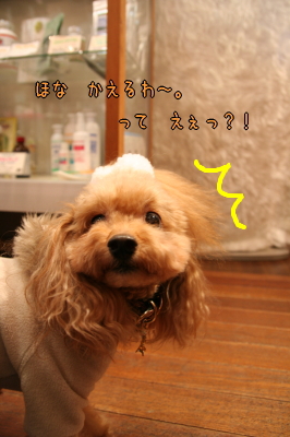 090127_03.jpg