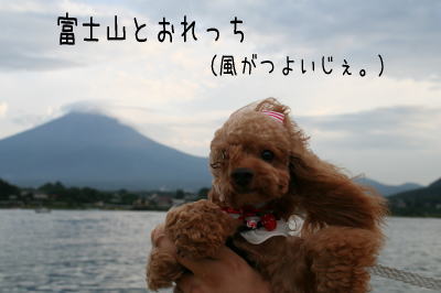 060812_5.jpg
