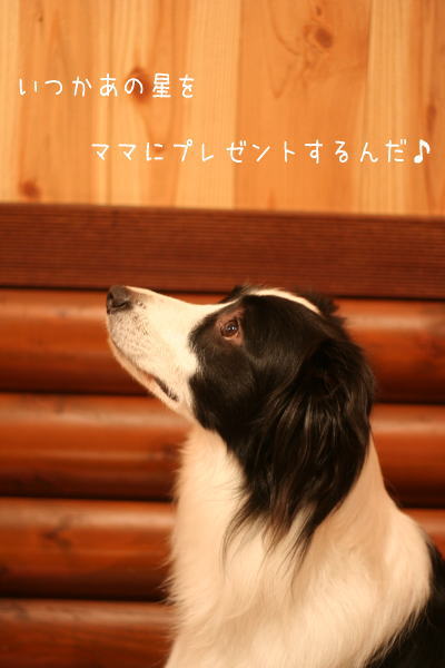 071005_5.jpg