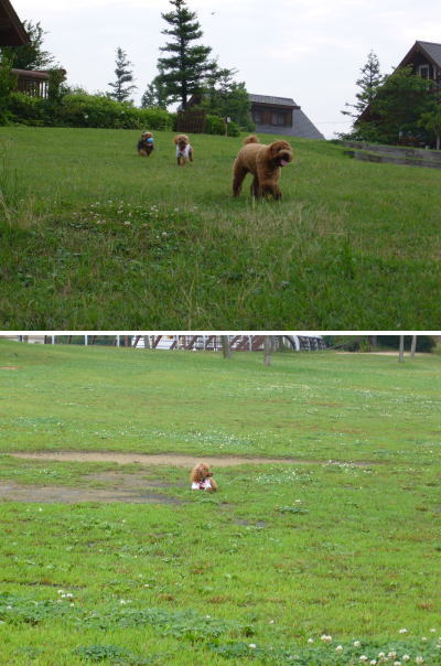 060623_2.jpg