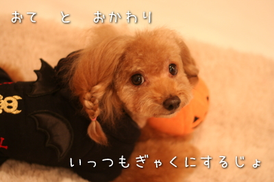 081031_3.jpg