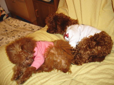 050305_5.jpg