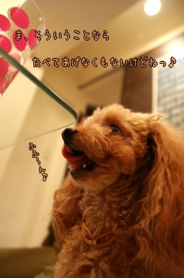090130_07.jpg