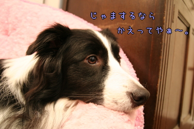 090127_02.jpg