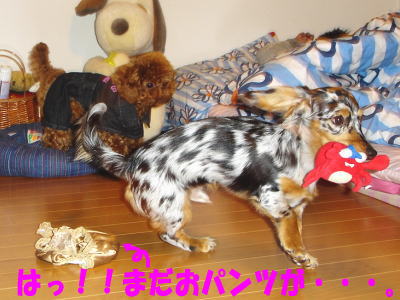 050220_4.jpg