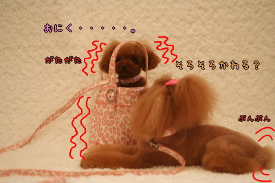 090120_06.jpg